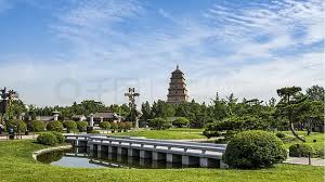今年会jinnianhui 启东找绿化工作怎么找汕头市